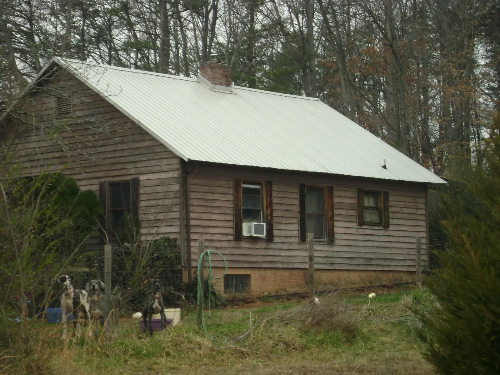 White metal roof on an old wood sided farmhouse, from a Asphalt Shingle Roof Repair job in Green